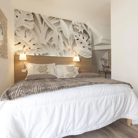 Suimi's 维拉西米乌斯